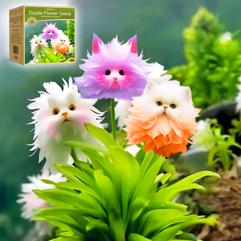 🌺🐧GFOUK® Charming Blossom Seeds