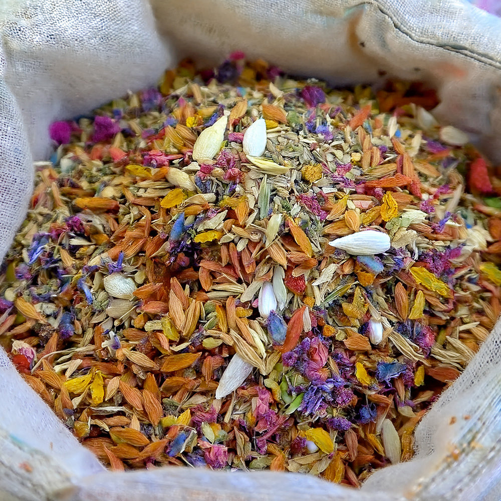 🌺🐧GFOUK® Charming Blossom Seeds