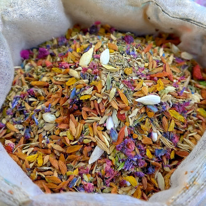 🌺🐧GFOUK® Charming Blossom Seeds