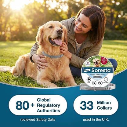 Soretso™ - 8 Months Natural Flea & Tick Protection