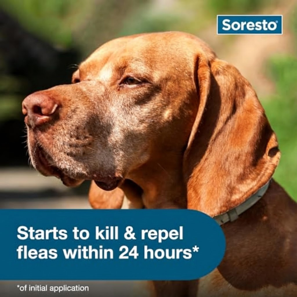 Soretso™ - 8 Months Natural Flea & Tick Protection
