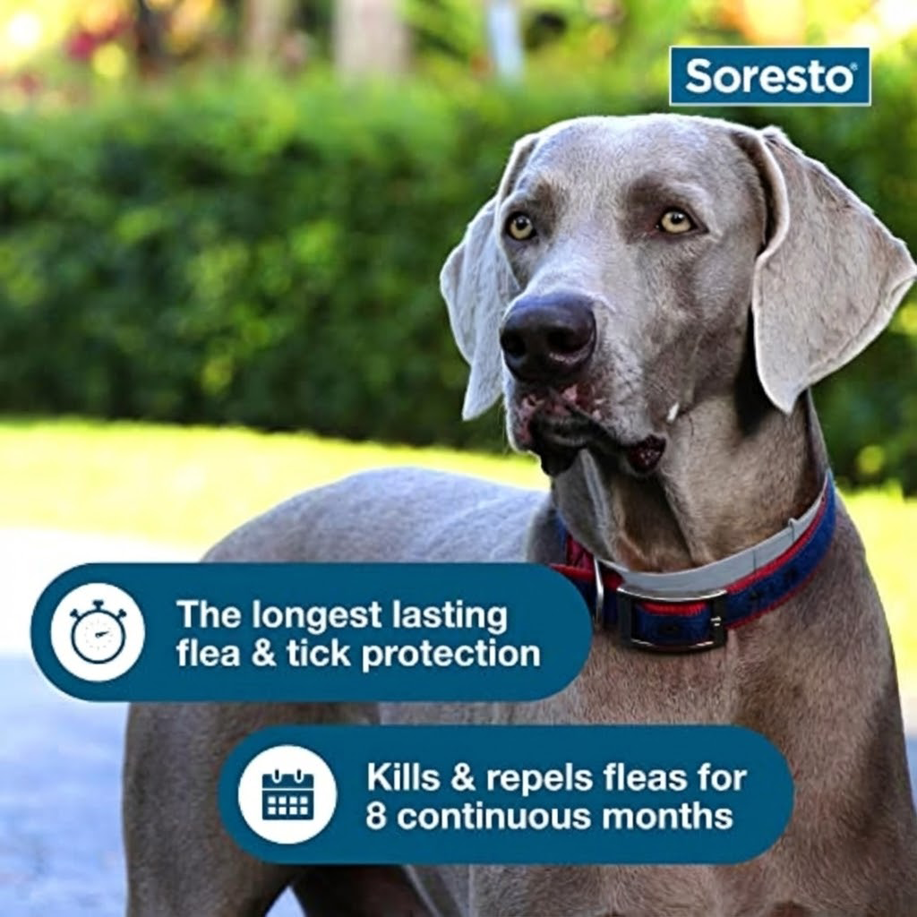 Soretso™ - 8 Months Natural Flea & Tick Protection